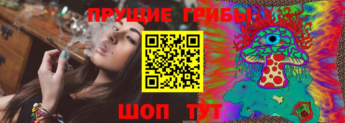 Галлюциногенные грибы Psilocybine cubensis  Вход с VPN  Оренбург  Псилоцибиновые грибы прущие грибы 
